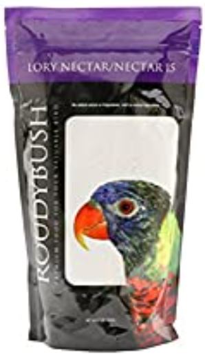 Regenbogen Lorikeet